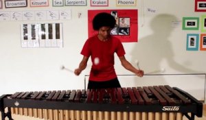 La musique de Super Mario Bros. avec un marimba