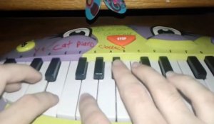 Stranger Things joué au piano à chats !! Miaou miaouuuu miaou
