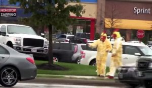 Des gens déguisés en poules se battent avec des gens déguisés en vaches