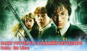 Harry Potter : libération de Dobby