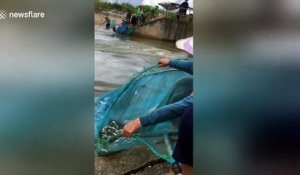 Sans bouger elle pêche des centaines de poissons au Vietnam.. Habile !