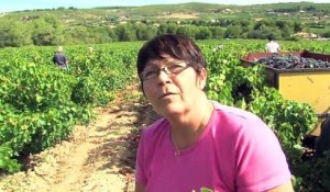 L'interview de Solange Serein, exploitante de 11 hectares à Saint-Julien.