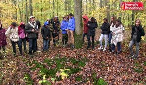 VIDEO. Des collégiens dans les tranchées d'entraînement en forêt de Blois