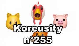 Koreusity n°255