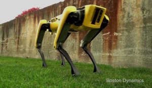 Ce nouveau robot chien autonome est... flippant !! Intelligence Artificielle