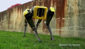 Tout le monde ne parle que de ça : Le nouveau chien robot de Boston Dynamics