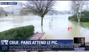 Crue de la Seine: quelle est la situation à Paris ce vendredi ?