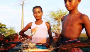 Les incontournables de Madagascar par Petit Futé