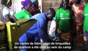 Cameroun:des réfugiés incités à lutter contre la désertification