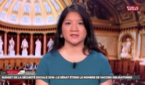 Budget de la sécurité sociale 2018 : les vaccins et la politique familiale - Les matins du Sénat (17/11/2017)
