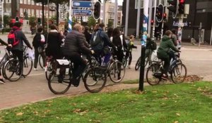 Des marquages au sol pour aider les cyclistes (Pays-Bas)