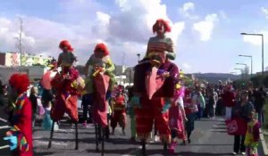 Plusieurs centaines de personnes ont assisté au carnaval de Vitrolles.