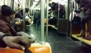 Une petite bête rentre dans le métro et c'est la PANIQUE (New York)