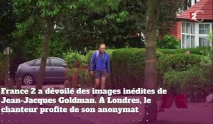 Jean-Jacques Goldman marche seul