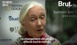 Jane Goodall : "la Chine montre l'exemple en matière d'écologie"