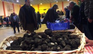 Marché aux truffes de Jarnac le plus gros producteur a apporté 25kg