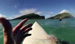 Un surfeur se rend compte qu’il y a un requin juste en dessous de lui (Australie)