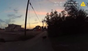 Un chien policier attaque une femme qui n'a rien fait