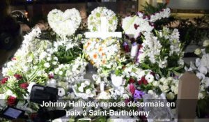 Johnny Hallyday repose à Saint-Barthélemy
