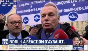 NDDL: développer l'aéroport de Nantes "n'est pas réaliste" pour Ayrault
