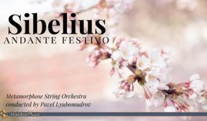 Metamorphose String Orchestra, Pavel Lyubomudrov - Sibelius - Andante Festivo