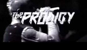 The Prodigy -The Day Is My Enemy OUT NOW