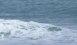 Adrénaline - Surf : J.Florence vs. W.Dantas vs. D.Payne - Condensed Heat