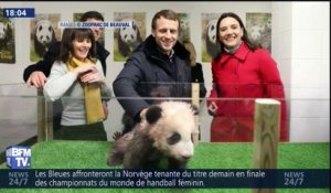 Emmanuel Macron rend visite au bébé panda du zoo de Beauval