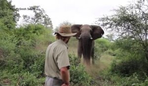 Cet homme fait face à un éléphant qui le charge... Regardez sa réaction