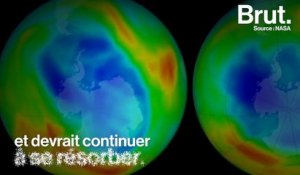 L'année 2017, c'est aussi des bonnes nouvelles pour la planète