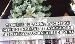 Tempête Eleanor: La cime du grand sapin de Noël de Strasbourg ne résiste pas aux rafales de vent