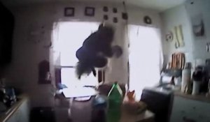 Un écureuil attaque un policier