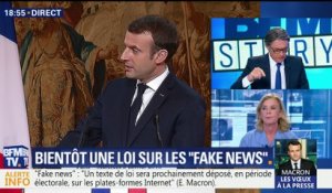 Vœux de Macron à la presse: "Il sait ménager ses effets un peu comme un acteur, c'était assez fugitif", Annie Genevard