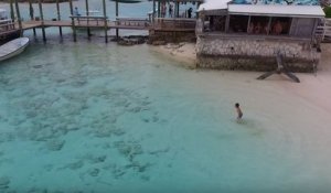 Un enfant dans l'eau attire quelques curieux (Bahamas)