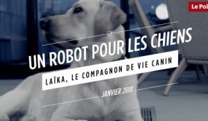 Laïka : un robot pour les chiens