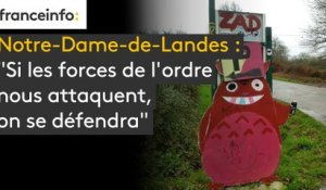 Notre-Dame-de-Landes : "Si les forces de l'ordre nous attaquent, on se défendra"