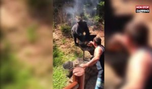 Un homme se bat avec un ours pour protéger son barbecue (vidéo)