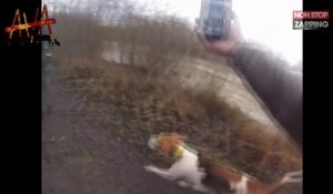 Oise : Des passants filment des chasseurs en train de noyer un cerf (Vidéo)