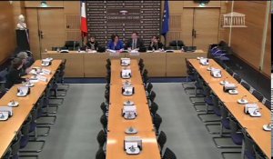 Nouvelles normes européennes en matière de protection des données : Mmes Adrienne Charmet et Léa Caillère Falgueyrac - Jeudi 19 janvier 2017
