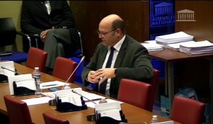 Commission des affaires sociales : Egalité professionnelle entre les femmes et les hommes (PPL) - Mardi 24 janvier 2017