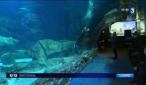 Aquarium de Paris : immersion aux côtés des soigneurs