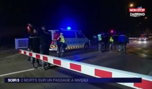 Collision à Yonne : Un TER percute mortellement une automobiliste et son fils (Vidéo)