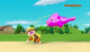 Paw Patrol : la Pat'Patrouille | Le bébé dauphin | NICKELODEON JUNIOR