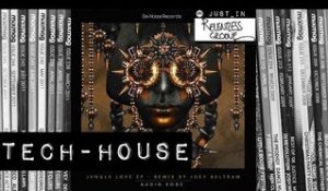 TECH-HOUSE: AuDio KoDe - Jungle Love (Dub mix)  [De-Nozie Records]