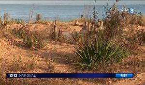 Tempêtes en France : le littoral aquitain en souffre