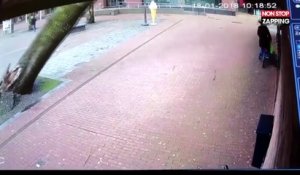 Tempête aux Pays-Bas : une maman et sa poussette échappent de peu au drame (vidéo)