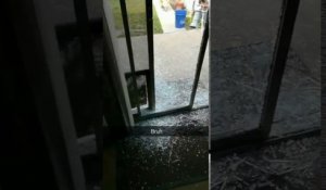 Un chien défonce une porte vitrée