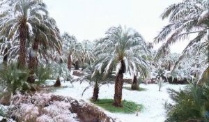 Un manteau neigeux exceptionnel recouvre le désert marocain