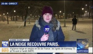 Avec la neige le parc de Bercy à Paris a des allures de station de sports d'hiver