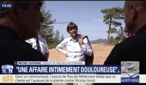 Affaire Hulot: "C'est une affaire intimement douloureuse pour la famille dans son ensemble", dit l'avocat de Pascale Mitterrand